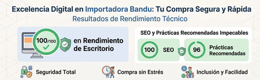 Tu experiencia en Importadora Bandu: Más rápida, segura y accesible que nunca